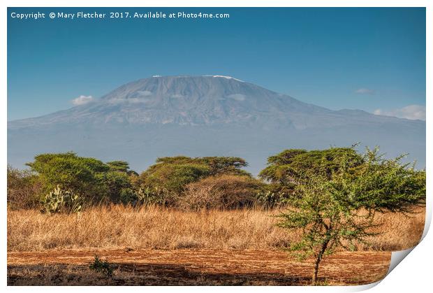 Mount Kilimanjaro Print by Mary Fletcher