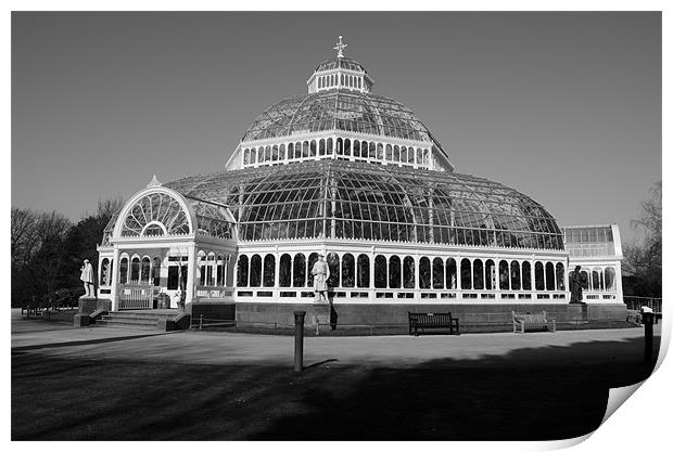 Sefton Park Palm House Print by James  Hare