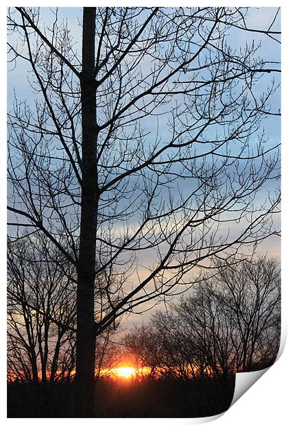 Sunrise Print by stacey meyer