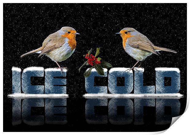  ice cold Print by Kelvin Rumsby