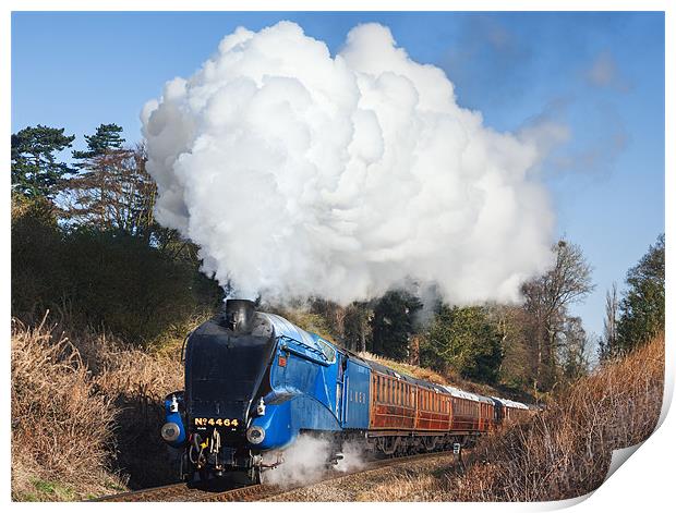 Steam train takes us back to the 1930s Print by Ian Duffield