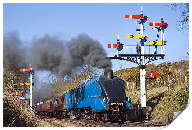 Historic steam train passing the signals Print by Ian Duffield
