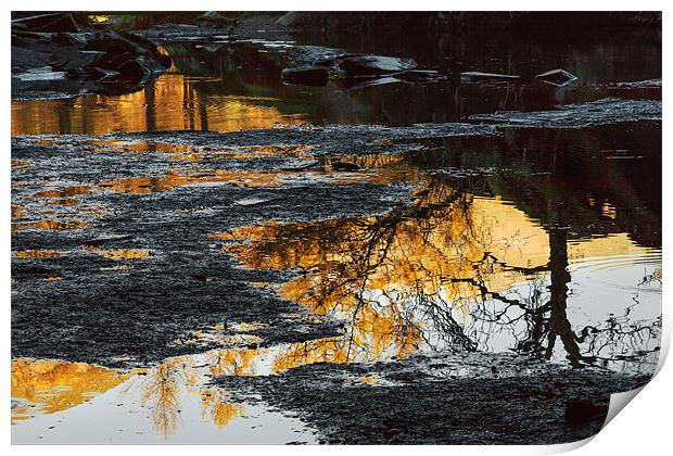 Golden reflections in Rydal Cave. Print by Ian Duffield