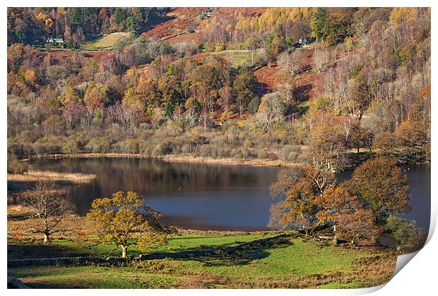 Rydal Water in Autumn Print by Ian Duffield