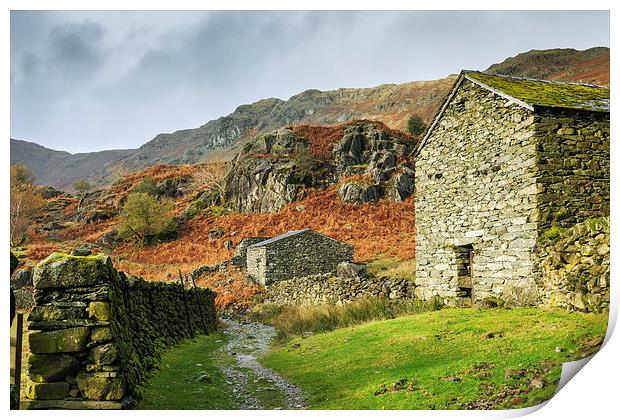 Tranquil scene near Grasmere Print by Ian Duffield