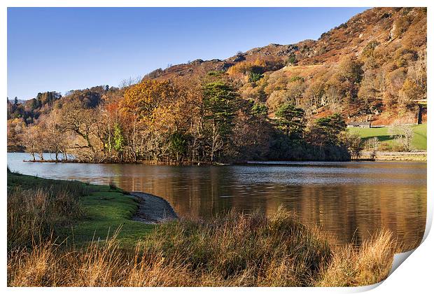 Rydal Water in Autumn  Print by Ian Duffield