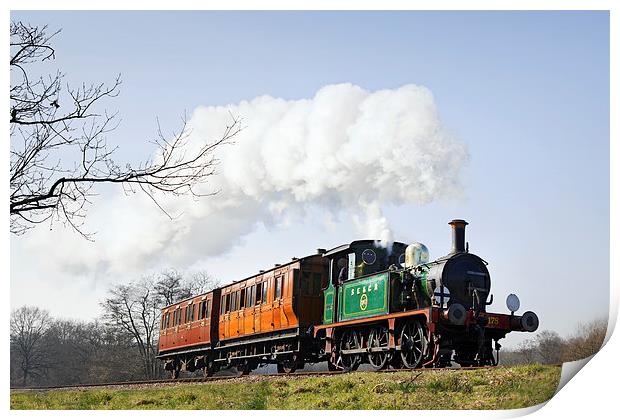  South Eastern Local Train Print by Ian Duffield