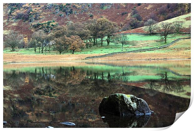  Reflections at Blea Tarn Print by Ian Duffield