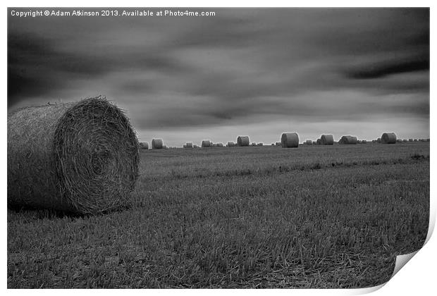 Autumn Hay  Harvest Print by Adam Atkinson