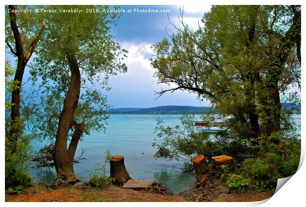 autumn lake balaton     Print by Ferenc Verebélyi