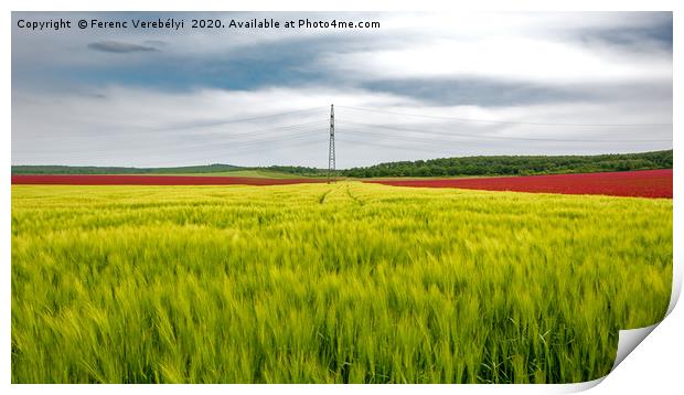 color field    Print by Ferenc Verebélyi