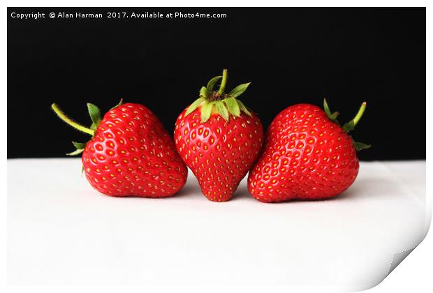 Strawberries On Black Over White Print by Alan Harman
