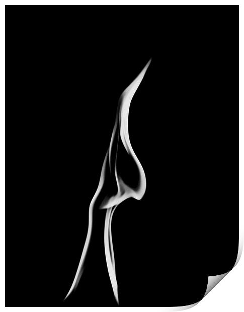 Whispering Flame Print by Paul Want