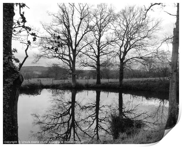 B&W Lake in Countryside Print by Ursula Keene