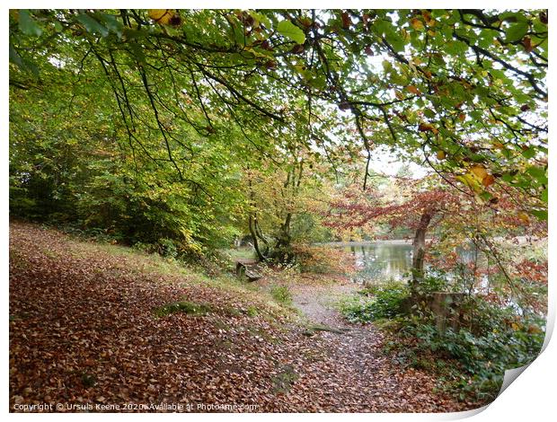 Walk by Keston Ponds in the autumn Print by Ursula Keene