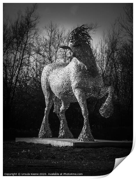 Cob sculpture by Andy Scott Print by Ursula Keene