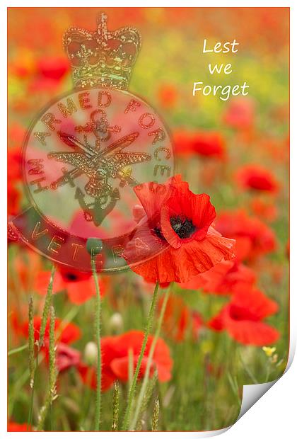 Lest we forget Print by Barbara Ambrose