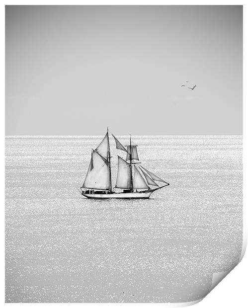 Schooner Print by Robert  Radford