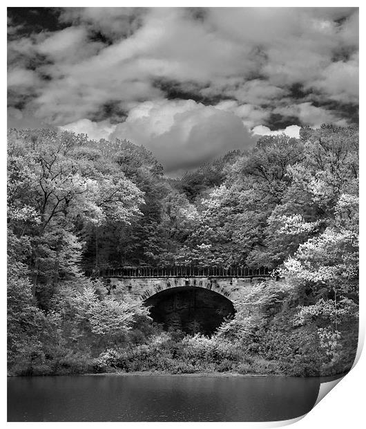 Parapet Bridge Print by Bryan Olesen