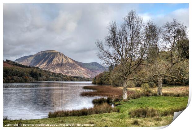 Grasmoor and Loweswater Print by Beverley Middleton