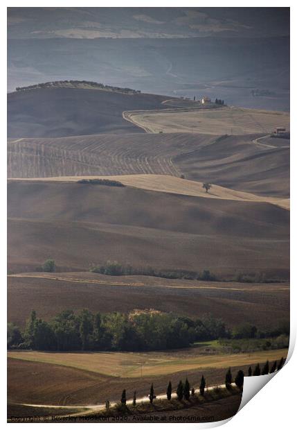 Rolling Tuscan Hills Print by Beverley Middleton