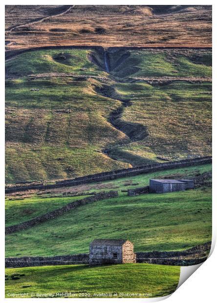 Swaledale barns in late afternoon light Print by Beverley Middleton
