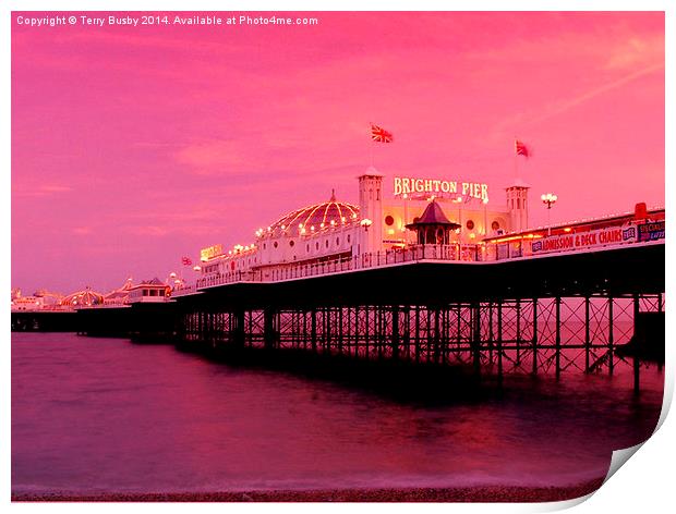  Brighton Pier Print by Terry Busby