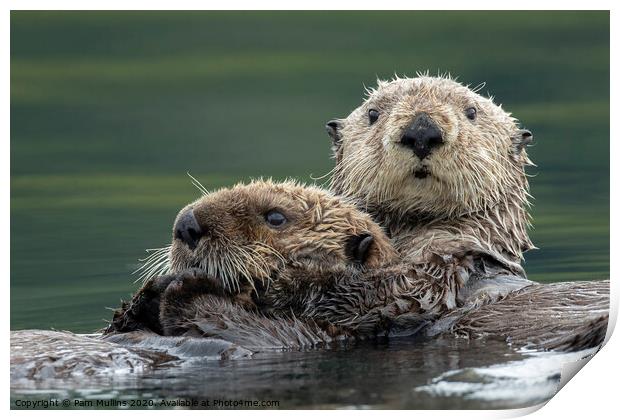 Sea Otters Print by Pam Mullins