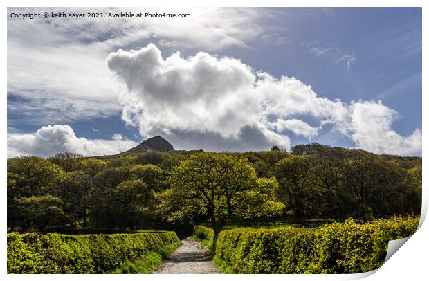 The path to Roseberry Topping Print by keith sayer