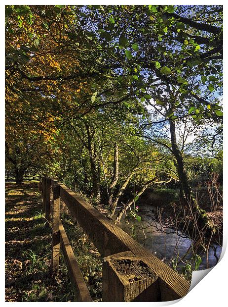 Autumn By The Stream Print by keith sayer