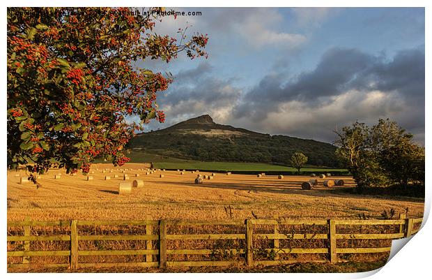  Winter Feed Roseberry Topping Print by keith sayer