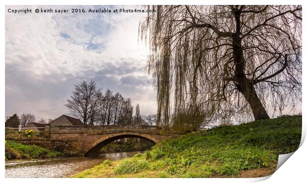 Weeping Willow Print by keith sayer
