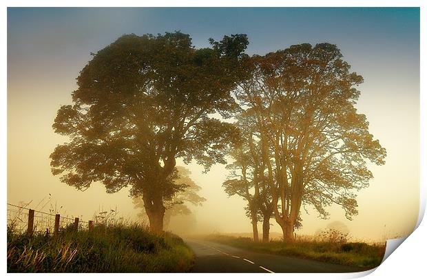 Twilight Guardians. Misty Roads of Scotland Print by Jenny Rainbow