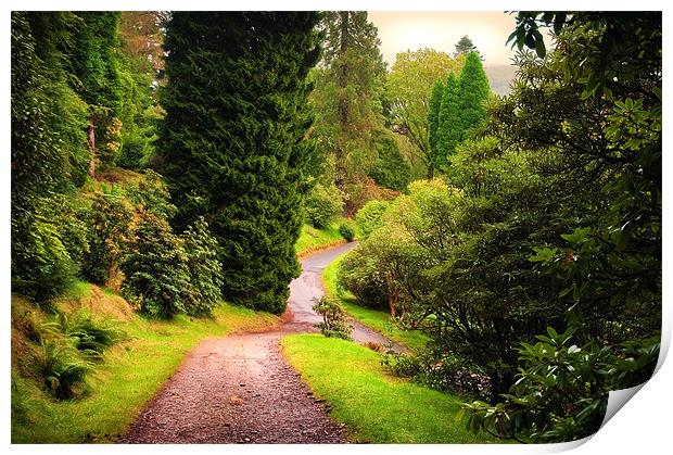 Pleasant Path. Benmore Botanical Garden. Scotland Print by Jenny Rainbow