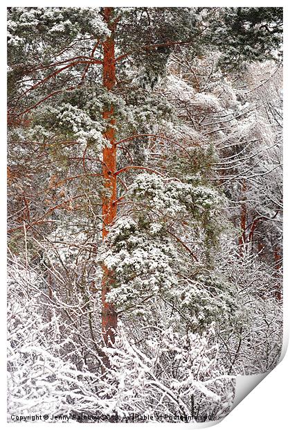 After Snow Storm Print by Jenny Rainbow