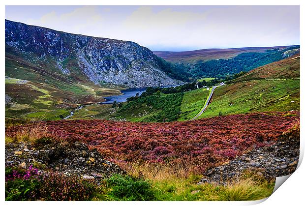 Multicolored Carpet of Wicklow Hills. Ireland Print by Jenny Rainbow