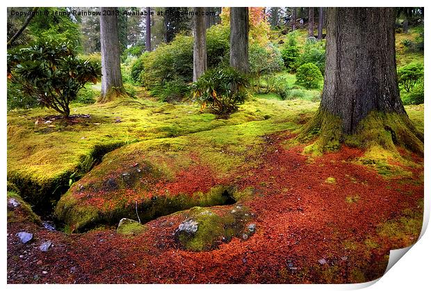 Colorful Carpet of Moss in Benmore Botanical Garde Print by Jenny Rainbow