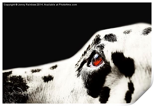 The Amber Eye. Kokkie. Dalmation Dog Print by Jenny Rainbow