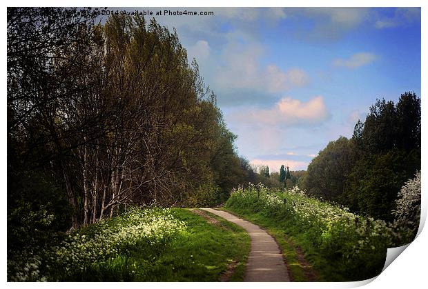  Spring Path Along the River. Netherlands  Print by Jenny Rainbow