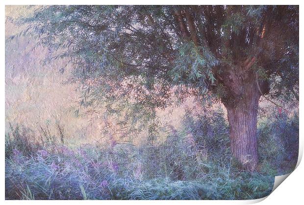  Blue Willow. Monet Style  Print by Jenny Rainbow