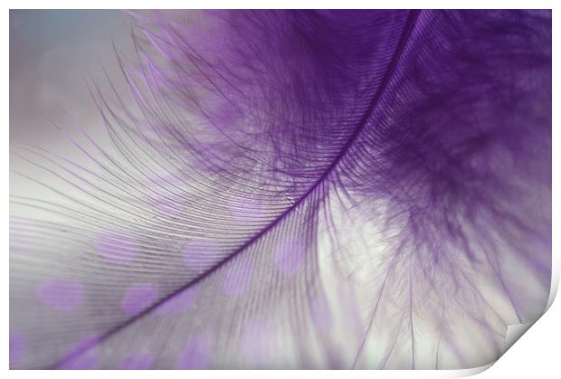 Light Purple Dream                                 Print by Jenny Rainbow