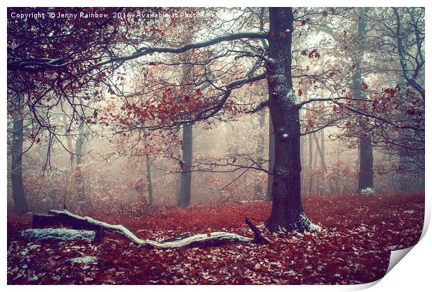 First Snow in Fall Woods Print by Jenny Rainbow