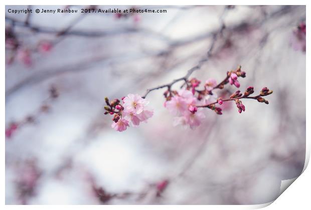 Branch of blooming sakura Print by Jenny Rainbow