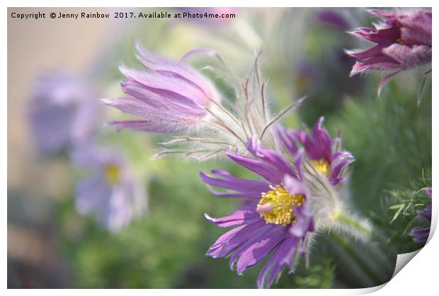 Spring Chorus                       Print by Jenny Rainbow