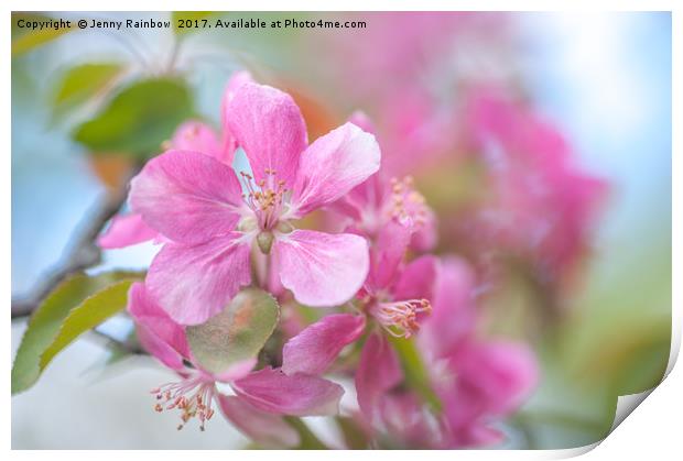 Crabapple Tree Bloom Print by Jenny Rainbow