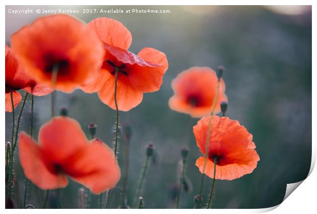 Red Poppies Remembrance 1 Print by Jenny Rainbow