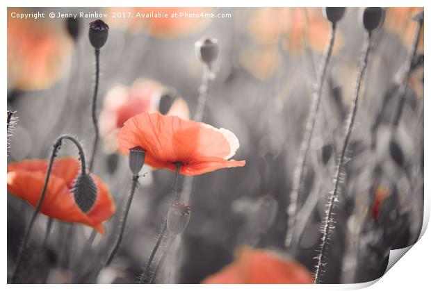 Red Poppies Remembrance 4 Print by Jenny Rainbow