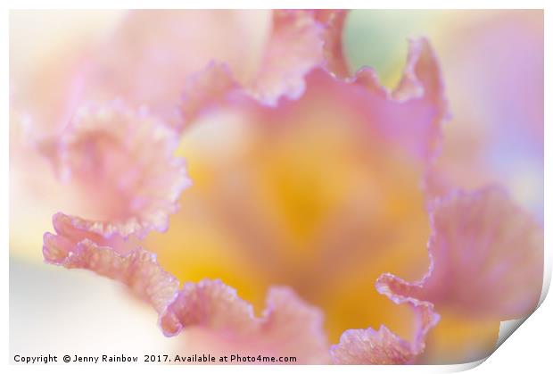 Afternoon Delight iris Macro abstract Print by Jenny Rainbow