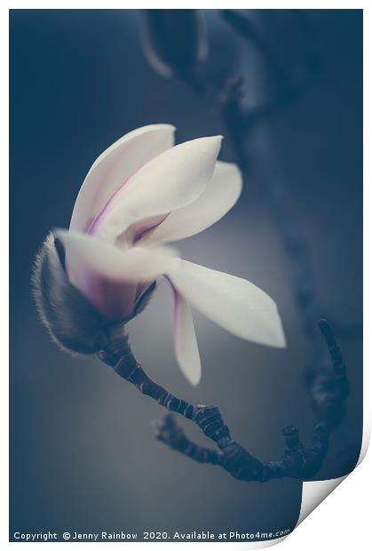 Zen Magnolia New Blooms Boho Style Print by Jenny Rainbow