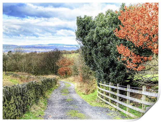 A country lane in autumn Print by Mike Dickinson